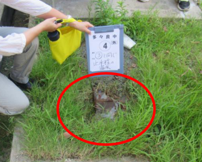 多々良中・校舎南側（体育館前）