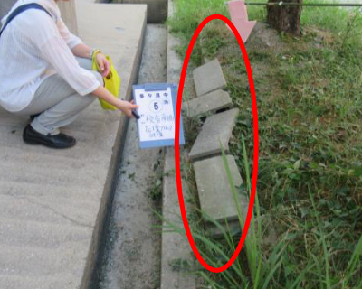 多々良中・校舎南側