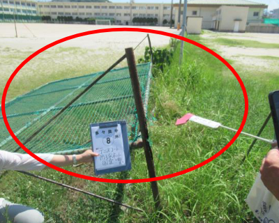 多々良中・テニスコート