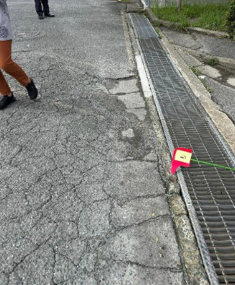 堤小学校・正門前側溝ふち