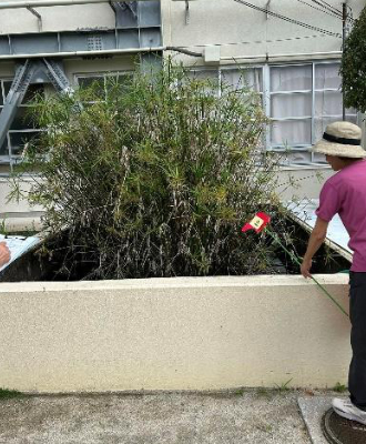 堤小学校・観察池