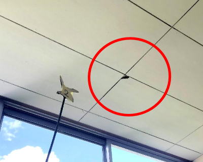 脇山小・図書室前 廊下