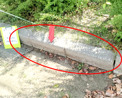 横手小学校・東側花壇