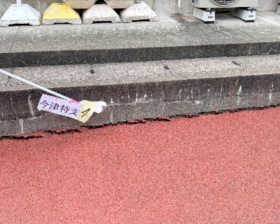 今津特別支援学校・校舎北側（普段は車の縦列駐車場所）