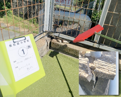 舞松原小学校・プールサイド