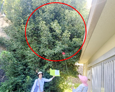 舞松原小学校・プール入口の屋根