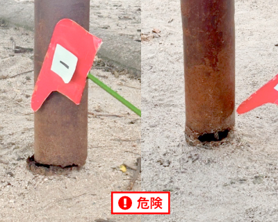 長尾小学校・藤棚