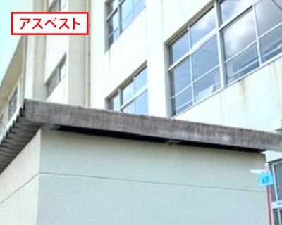 野芥小学校・保健室裏