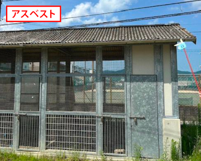 野芥小学校・飼育小屋