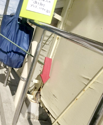 曰佐中学校・武道館への渡り廊下