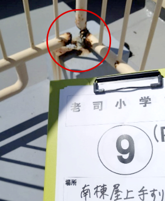 老司小学校・南棟屋上　てすり