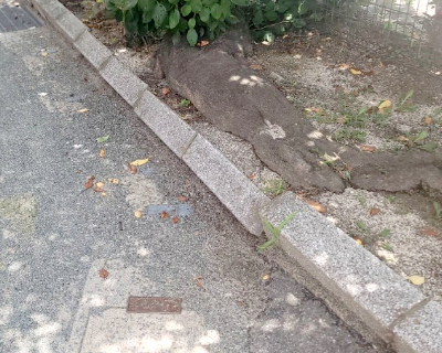 横手小学校・東側花壇