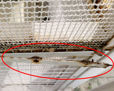 横手小学校・飼育小屋